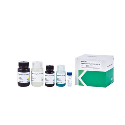 Reagente per western blot - BioSci™  - Dakewe (Shenzhen) Medical Equipment Co., Ltd. - in soluzione / da ricerca / liquido