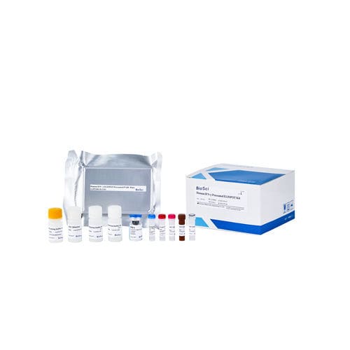 kit di test da ricerca - Dakewe (Shenzhen) Medical Equipment Co., Ltd.