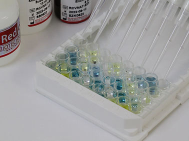 Kit ELISA - Redcell Biotechnology - per diagnosi COVID-19 / di immunità / per anticorpi neutralizzanti
