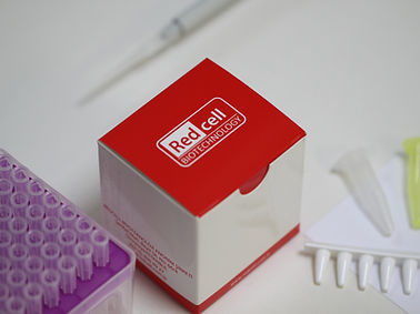 Kit di reagenti in soluzione - Redcell Biotechnology - per Rt-qPCR / SARS-COV-2