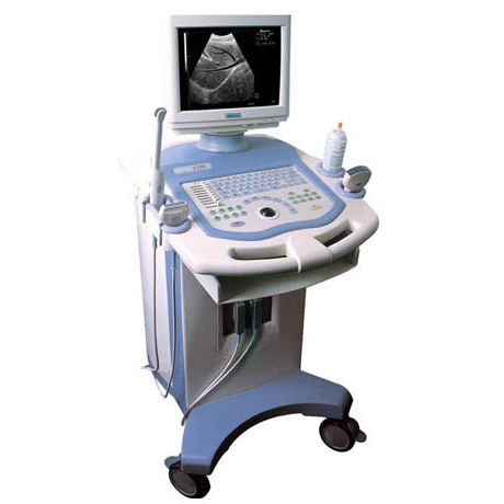 Ecografo su piattaforma - XU-1100 - Xindray Medical - per ecografia ginecologica ed ostetrica / per ecografia addomino-pelvica / per ecografia urologica