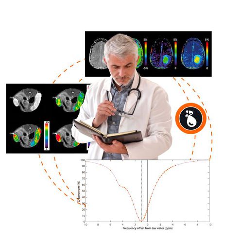 Software di analisi - APT CEST MRI V.1.0 - Olea Medical - di post elaborazione / di cartografia / medico