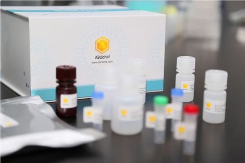 Kit di test ELISA - RK04149 - ABclonal Technology - da ricerca / per anticorpi neutralizzanti / per rame