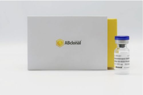Reagente in soluzione - RP01258 - ABclonal Technology - antigene ricombinante / da ricerca / liofilizzato