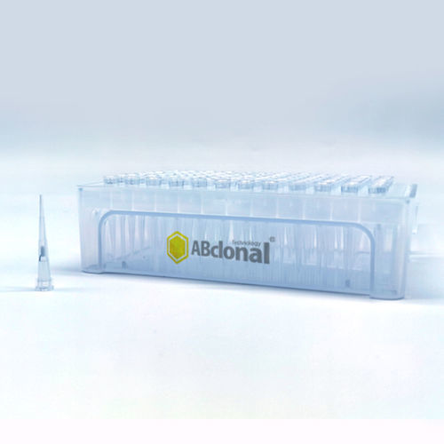 Puntale di pipetta con filtro - AI10R5 - ABclonal Technology - sterile