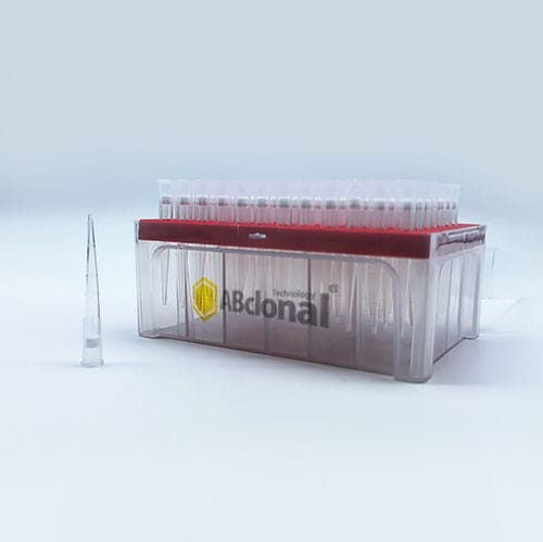 Puntale di pipetta con filtro - AI200R3 - ABclonal Technology - sterile