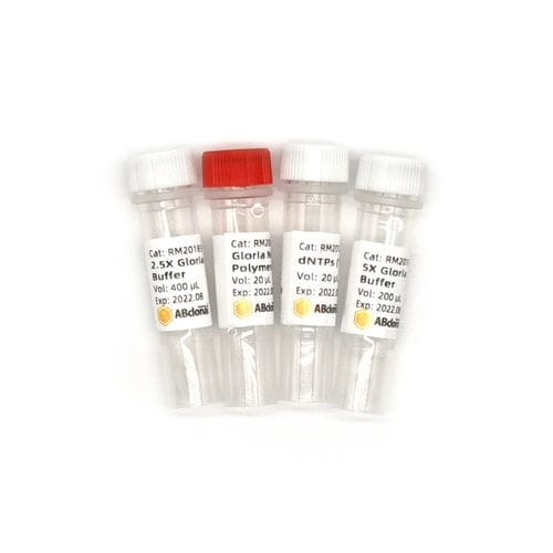 Reagente DNA polimerasi - RK20714 - ABclonal Technology - Taq polimerasi / per PCR