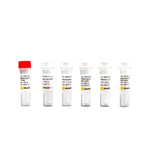 Reagente transcrittasi inversa - RK20400 - ABclonal Technology - per RT-PCR / per sintesi di ADN complementare