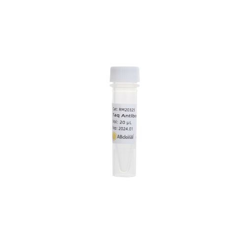 Reagente anticorpo monoclonale - RK20545 - ABclonal Technology - Taq polimerasi / per PCR / con avviamento a caldo