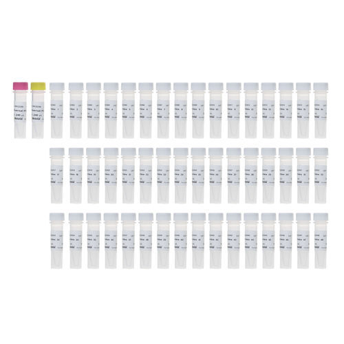 Mezzo reattivo - RK20294 - ABclonal Technology - per PCR / per sequenziamento di nuova generazione / di ibridazione