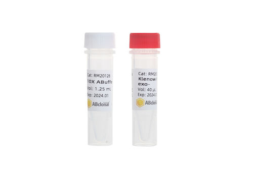 Reagente DNA polimerasi - RK20526 - ABclonal Technology - per PCR / dell'Escherichia coli