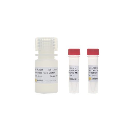 Reagente soluzione tampone - RK20346 - ABclonal Technology - enzima / di preparazione di banche di RNA