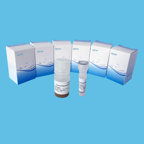 Reagente a biglie magnetiche - EmerTher®Carboxyl Magnetic Beads - The EmerTher Company - per analisi di proteine / per concentrazione di DNA / per concentrazione di RNA