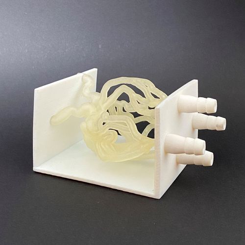 Modello vascolare di vasi sanguigni - Schiner3DRepro - per chirurgia vascolare / didattico