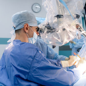 Software di visualizzazione 3D - softgate gmbh - di pianificazione / medico / clinico