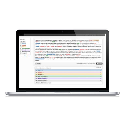 Software per cartelle cliniche elettroniche - Savvy - BMD Software - di analisi