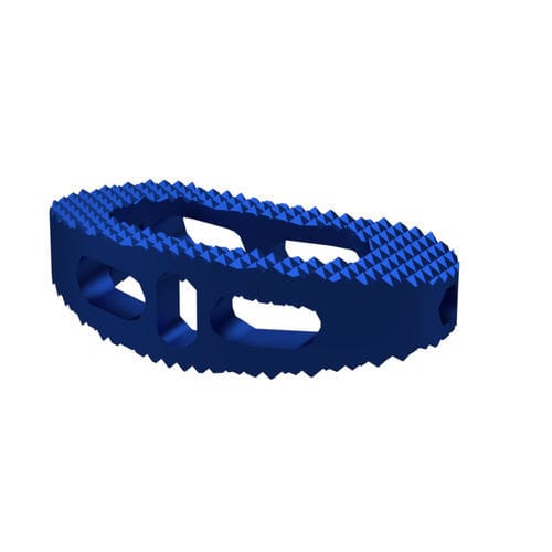Gabbia intersomatica toraco-lombare - BTC series - TASARIMMED - via transforaminale / in titanio