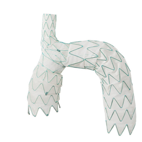 Innesto stent per arco aortico - NEXUS&trade; - Endospan - in nitinol / in polietilene