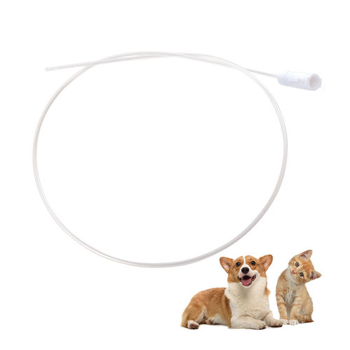 Catetere veterinario - VTN01 - Nanchang Kindly Meditech