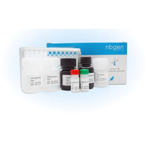 Kit di test veterinario - KE0011 - Ring Biotechnology Co Ltd. - per cani / per gatti / per anticorpi
