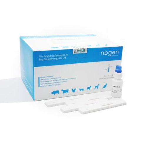Test rapido veterinario - C30011 - Ring Biotechnology Co Ltd. - per suini / per anticorpi / di sangue