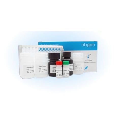Test rapido dell'herpes - ZP017 - Ring Biotechnology Co Ltd. - veterinario / per suini / per caprini