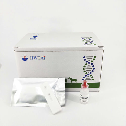 Kit di test della brucellosi - HWTAi - per animali / per caprini / per bovini