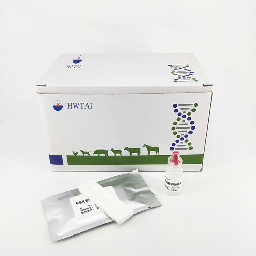Test rapido per malattie infettive - HWTAi - dell'anemia / veterinario / per suini