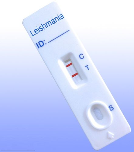 Test rapido di Leishmania - ILE-402 - HWTAi - della leishmaniosi / di serologia / d'IgG