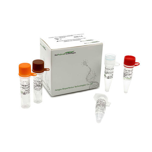Kit di test per malattie respiratorie - JC10310-1NW	 - Jiangsu Bioperfectus Technologies Co., Ltd. - SARS-COV-2 / del coronavirus / dell'influenza A