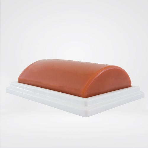 Simulatore didattico - PBD050502 - Gphantom - per ecografia / per anestesia / per assistenza generale