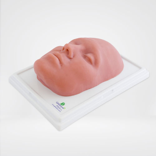 Simulatore didattico - PBD050510 - Gphantom - per ecografia / per anestesia / per assistenza generale