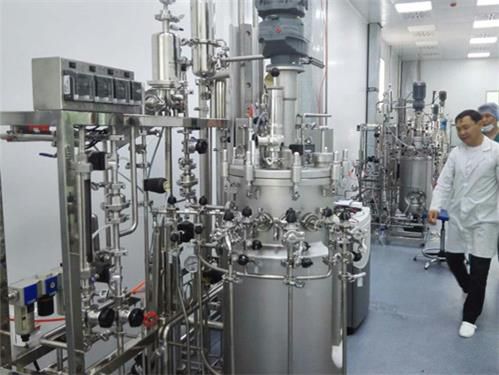 Bioreattore da laboratorio - BIO-XV series - KNIK CO.,LTD. - per lo sviluppo di vaccini / compatto