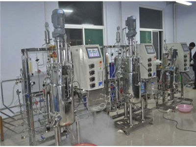 Bioreattore da laboratorio - 85 - KNIK CO.,LTD. - per fermentazione microbica / di sintesi parallela