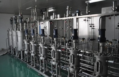 Bioreattore per batch - KNIK CO.,LTD. - fed-batch / da laboratorio / per fermentazione microbica