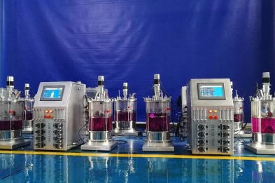 Bioreattore per batch - 135 - KNIK CO.,LTD. - in continuo / da laboratorio / per coltura cellulare