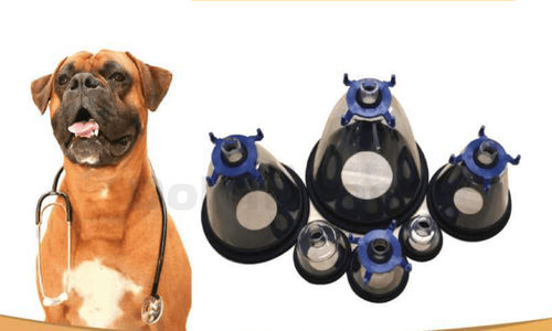 Maschera veterinaria per anestesia - Shandong Dolphinmed Technology - per roditori / per felini / per canidi