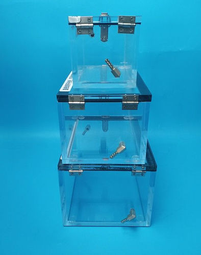 Camera di induzione per anestesia - DC series - Shandong Dolphinmed Technology - per mammiferi / per topi / per ratti