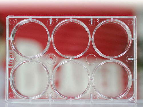 Micropiastra da laboratorio - 40406 - BEAVER - per coltura cellulare / a 6 pozzetti / di cellule