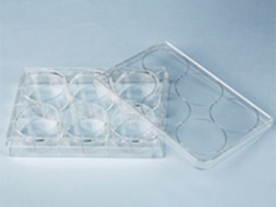 Micropiastra da laboratorio - 40106 - BEAVER - per coltura cellulare / a 96 pozzetti / a 24 pozzetti