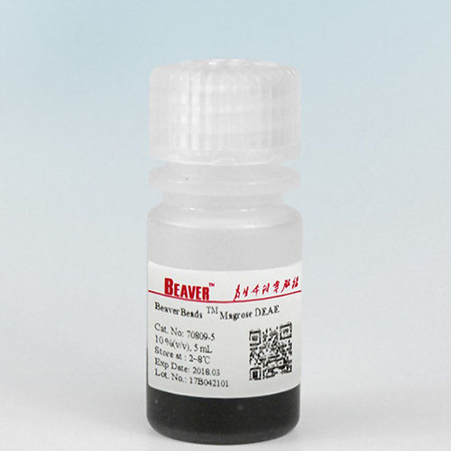 Reagente a biglie magnetiche - BeaverBeads™ DEAE - BEAVER - per purificazione di proteine