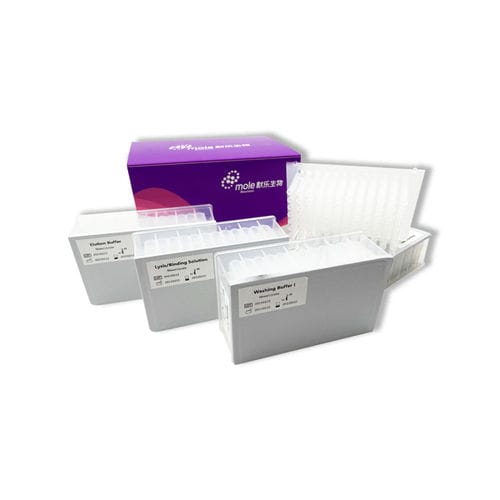 Kit di reagenti di siero - P084T00101 - Jiangsu Mole Bioscience - plasma / tampone di lavaggio / a biglie magnetiche