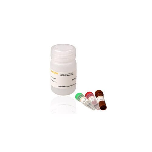 Kit di test microbiologico - 12640ES series - Yeasen Biotechnology (Shanghai) Co., Ltd - per quantificazione di DNA / per DNA / a fluorescenza