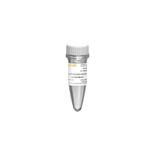 Reagente per PCR - 10184ES series - Yeasen Biotechnology (Shanghai) Co., Ltd - DNA polimerasi / colorante / microbiologico