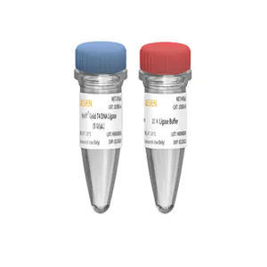 Reagente DNA ligasi - 10300ES series - Yeasen Biotechnology (Shanghai) Co., Ltd - da ricerca / di ATP