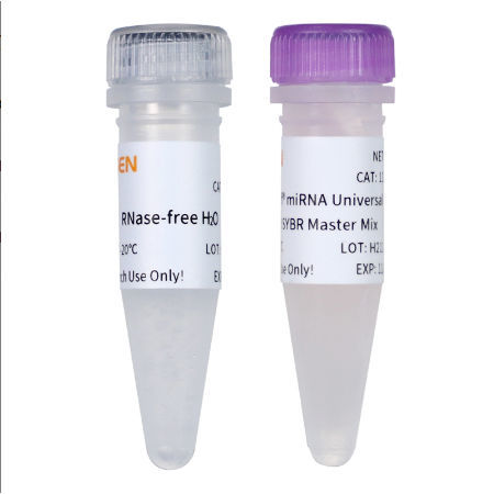 Reagente DNA polimerasi - 11171ES series - Yeasen Biotechnology (Shanghai) Co., Ltd - colorante / per ricerca scientifica / per qPCR