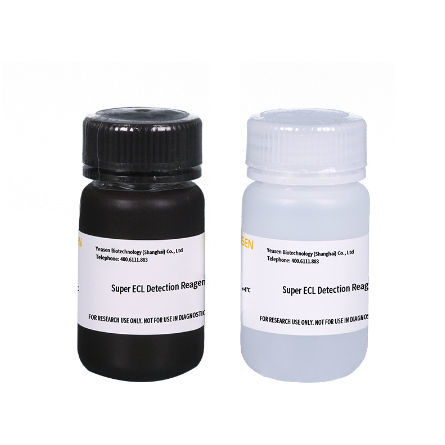 Reagente in soluzione - 36208ES series - Yeasen Biotechnology (Shanghai) Co., Ltd - da ricerca / di proteine / per anticorpi