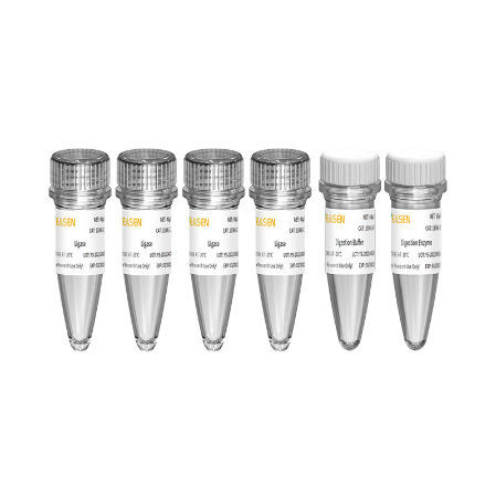 Kit di reagenti enzima - Hieff NGS™ - Yeasen Biotechnology (Shanghai) Co., Ltd - NGS / per preparazione di banche del DNA