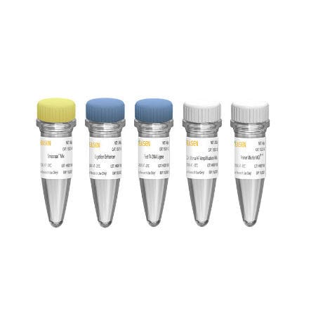 Kit di reagenti per preparazione di banche del DNA - Hieff  NGS™ OnePot II  - Yeasen Biotechnology (Shanghai) Co., Ltd - enzima / NGS / genetico