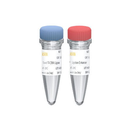 Kit di reagenti DNA ligasi - Hieff NGS™ - Yeasen Biotechnology (Shanghai) Co., Ltd - da ricerca / per sequenziamento di DNA